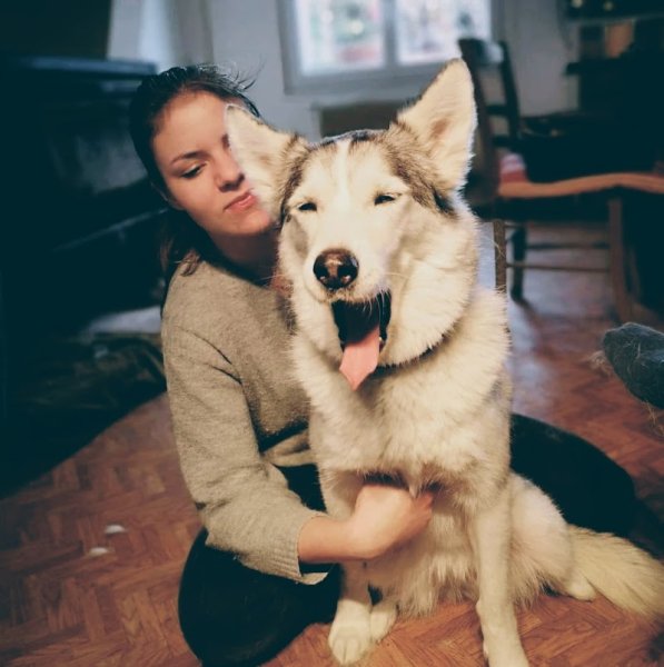 Isaline Diserens - Ostéopathe Animalier (Nord / Pas de Calais / Belgique) - Équin / Bovin / Canin - photo 1