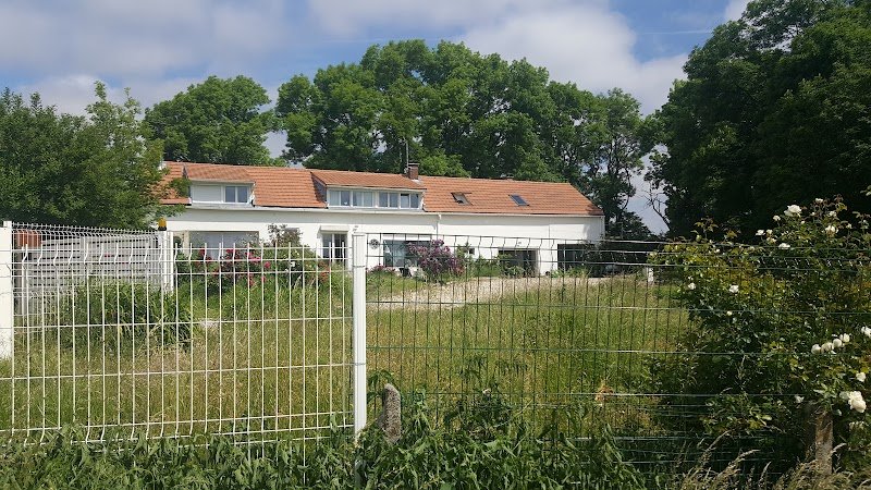 Chien Village Vacances