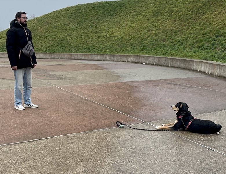 Amilaska - Educateur canin Lens, Douai et Hauts-De-France