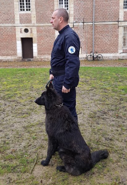 Dressage Malveillance Formation - photo 1