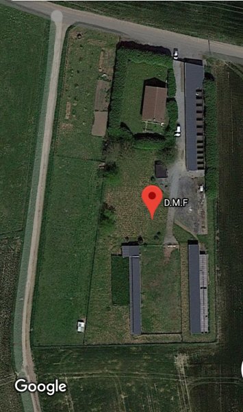 Dressage Malveillance Formation - photo 3