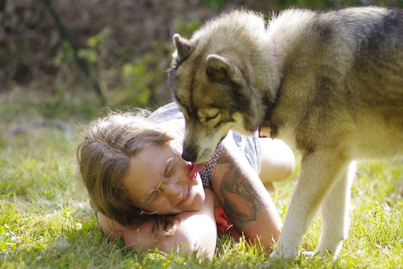 La Truffe d'argos - comportementaliste canin