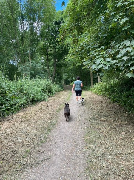 CO'MPORT CANI LEAD - Comportementaliste Canin et Educatrice Canin Certifiée - photo 3