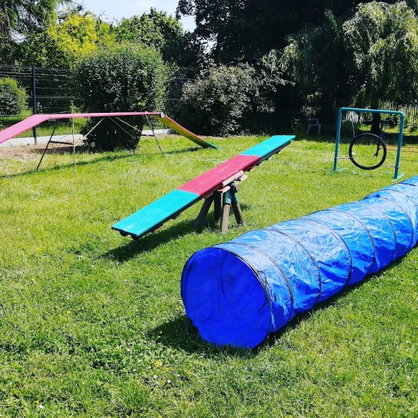 Coyote Coach - Educateur Comportementaliste Chiens - photo 2