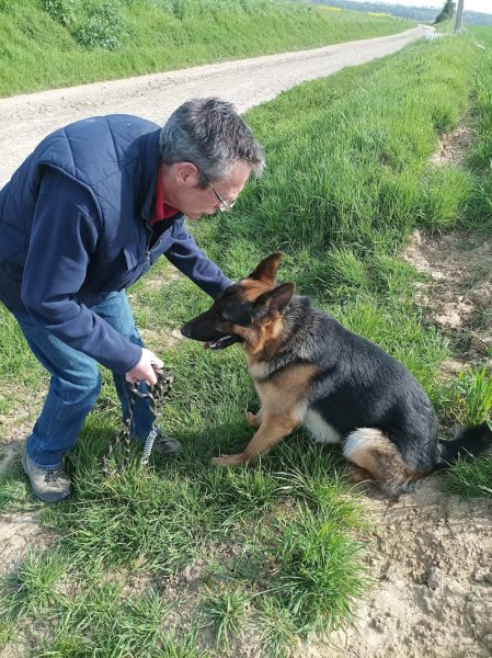 Manon Coach Canin - Éducateur & Comportementaliste Canin - photo 2
