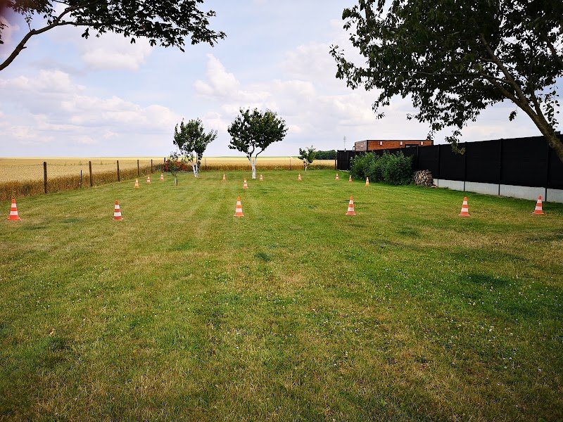 Manon Coach Canin - Éducateur & Comportementaliste Canin - photo 3