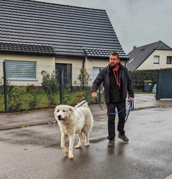 Cyril Dollet - Educateur Canin spécialiste en troubles du comportement