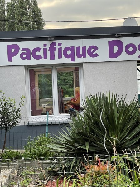 Pacifique dogs - photo 2