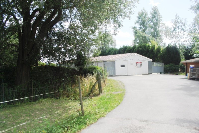 HOLIDAY'S DOG - Gosse Sébastien - photo 1