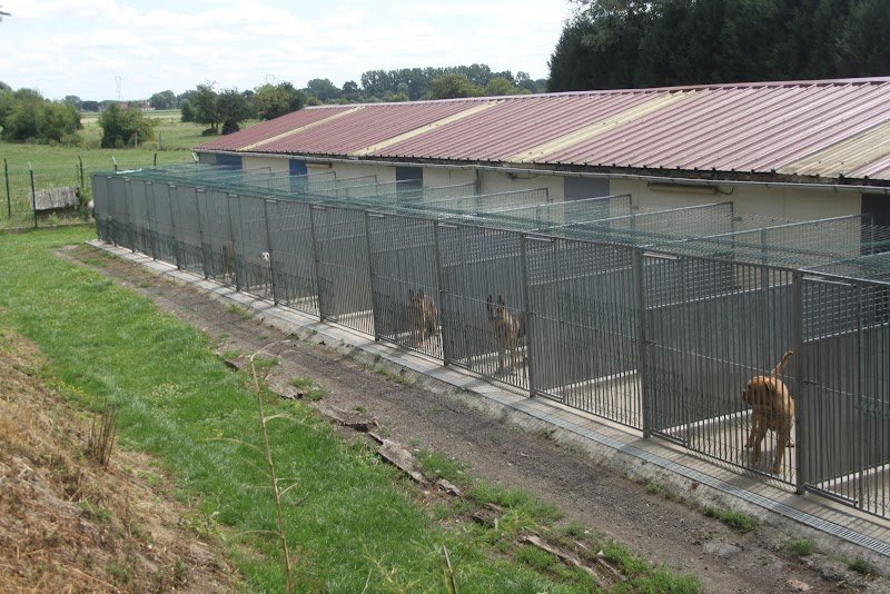 HOLIDAY'S DOG - Gosse Sébastien - photo 2