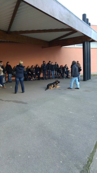 Educateur canin MG Douai