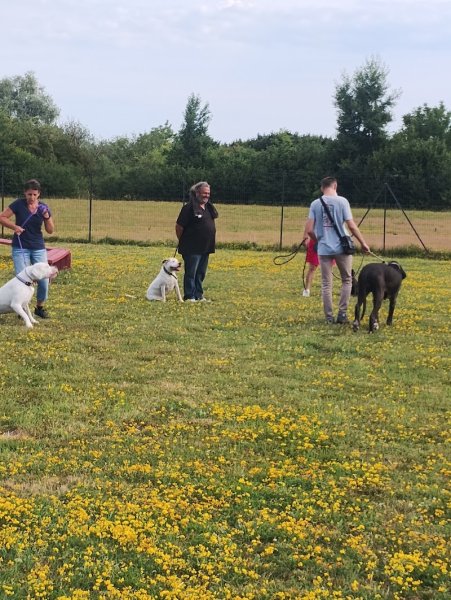 Educateur canin MG Douai - photo 2