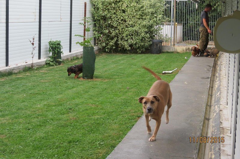 Gîte Canin de Ruesnes - photo 3