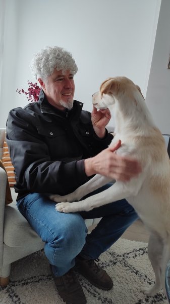 D'happy dog Éducateur Comportementaliste Canin - photo 3