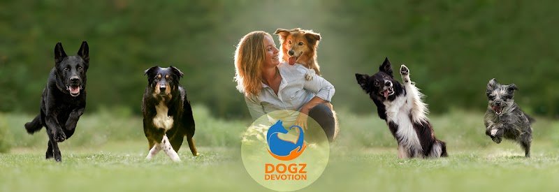 Dogz Devotion Academy by Elke Boxoen