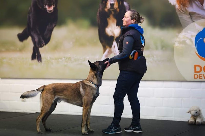 Dogz Devotion Academy by Elke Boxoen - photo 2