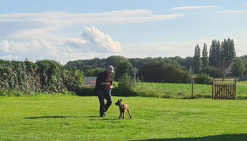 Dogz Devotion Academy by Elke Boxoen - photo 3