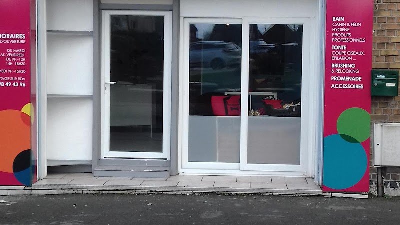 Calicanin salon de toilettage - photo 1