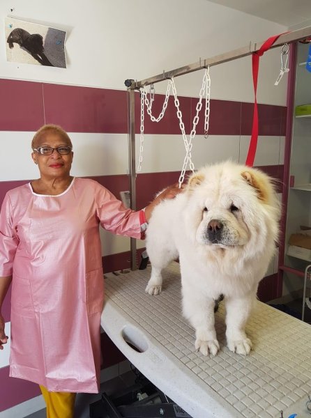 Univers canin et félin - photo 3