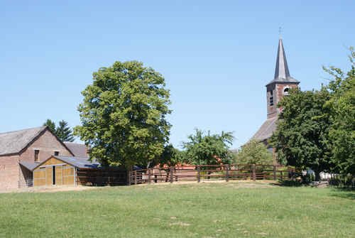 Pension Canine de Mormal - photo 2