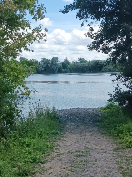 Parc à chien - photo 2