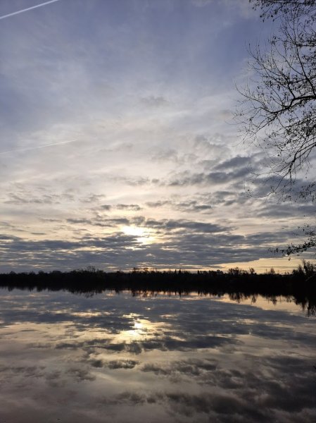 Parc à chien - photo 3