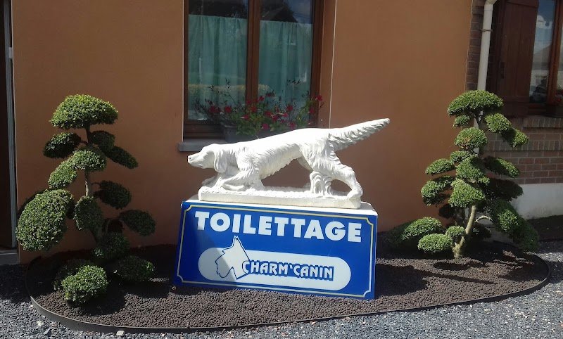 charm canin - photo 1