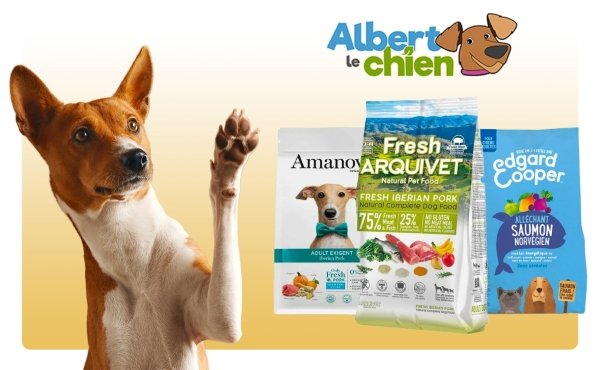 Albert le chien