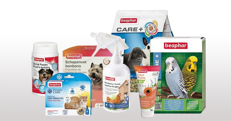 Albert le chien - photo 2