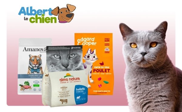 Albert le chien - photo 3