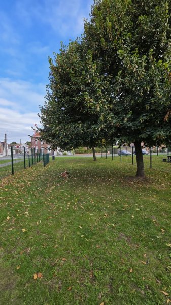 Parc canin - photo 3