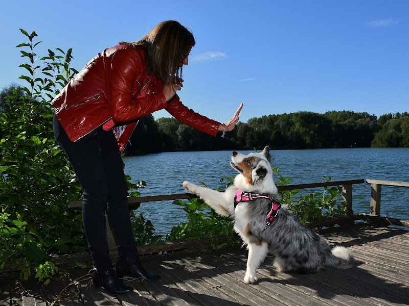 CANIN SEREIN - EDUCATRICE COMPORTEMENTALISTE - photo 2