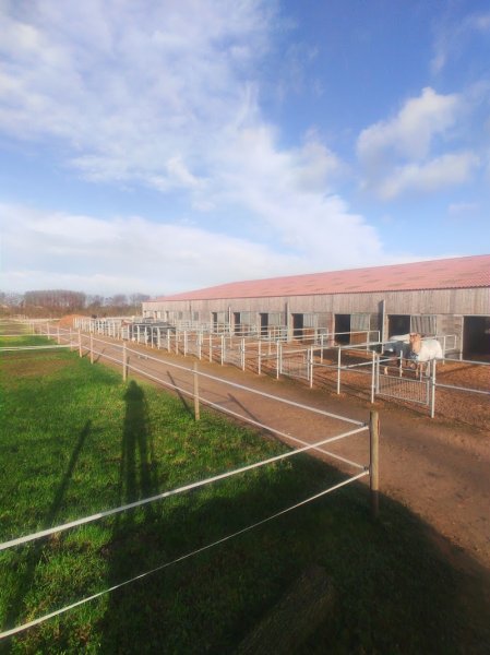 Amandine Blin Dressage - photo 2