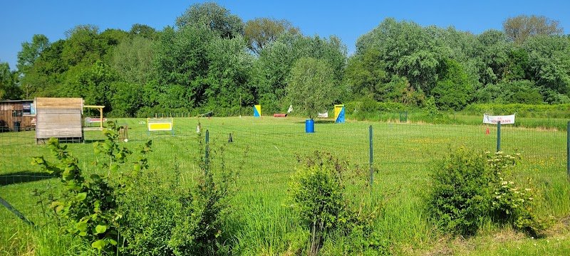 Club canin bertry - photo 2