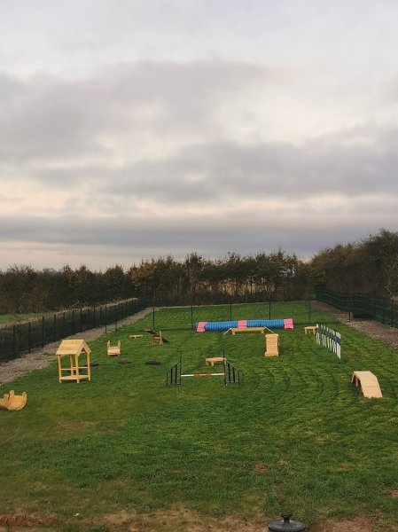 La Patte du savoir - Educateur canin Comportementaliste