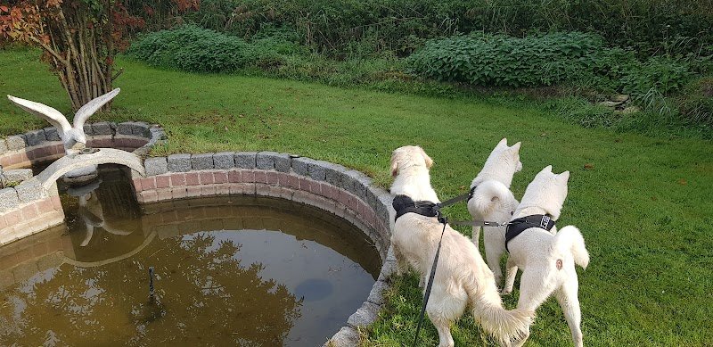 Elevage canin "LE MONDE De STEPH" - photo 1