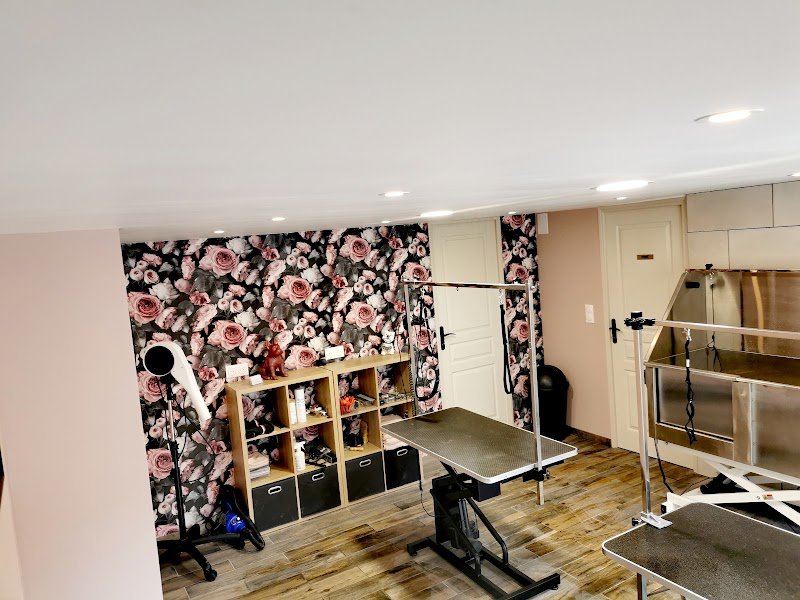 Bubble dogs - photo 2