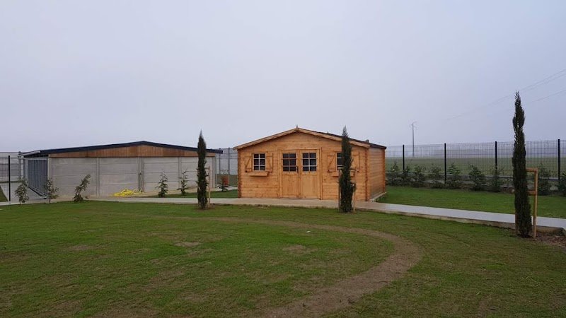 Pension Canine Paradisdog - photo 2