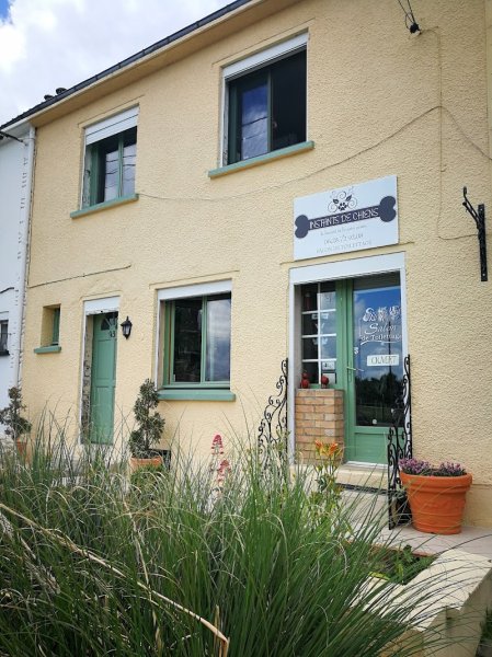 Instants De Chiens - photo 2