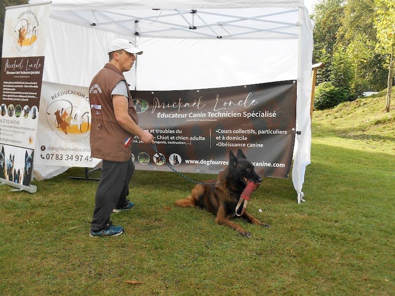 Dog Four Rééducation Canine - photo 1