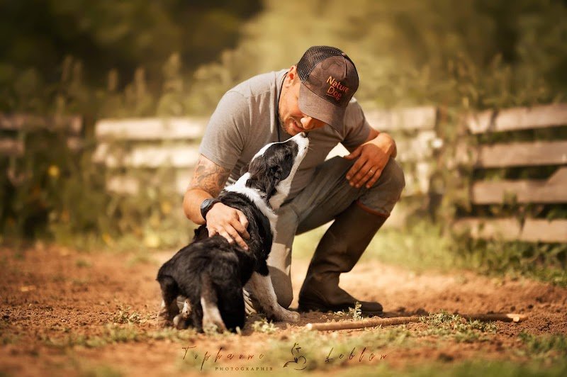 Merckeghem Sheepdogs - photo 2