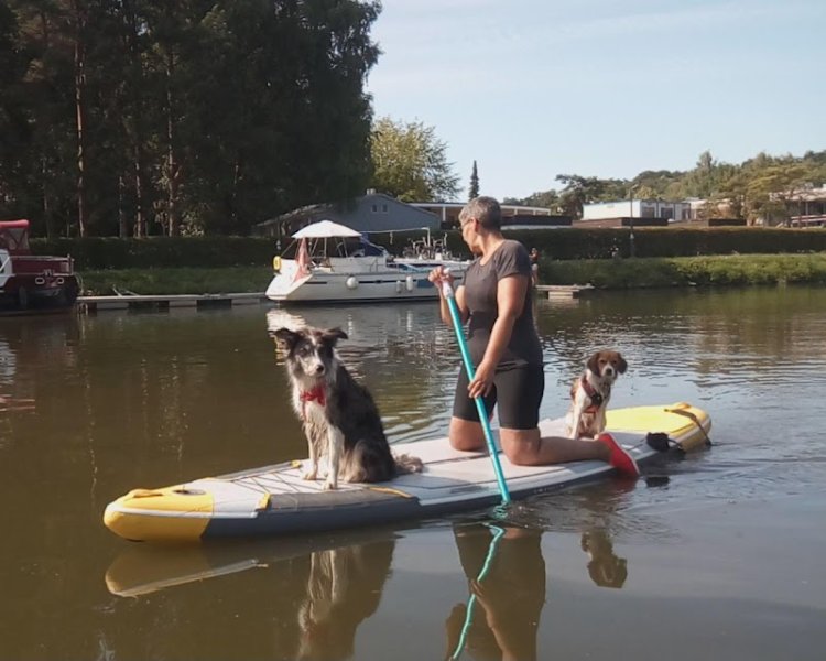 Printemps canin - photo 1