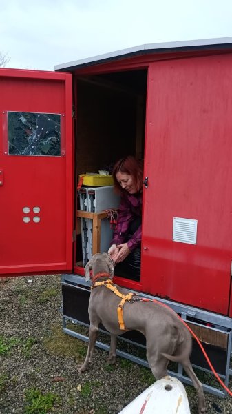 Printemps canin - photo 3