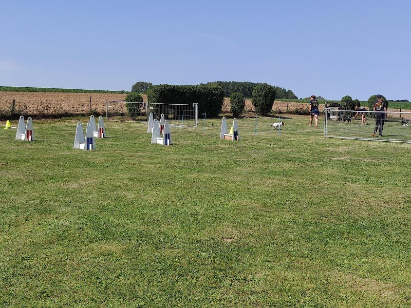 Education Canine Ramillies - photo 1