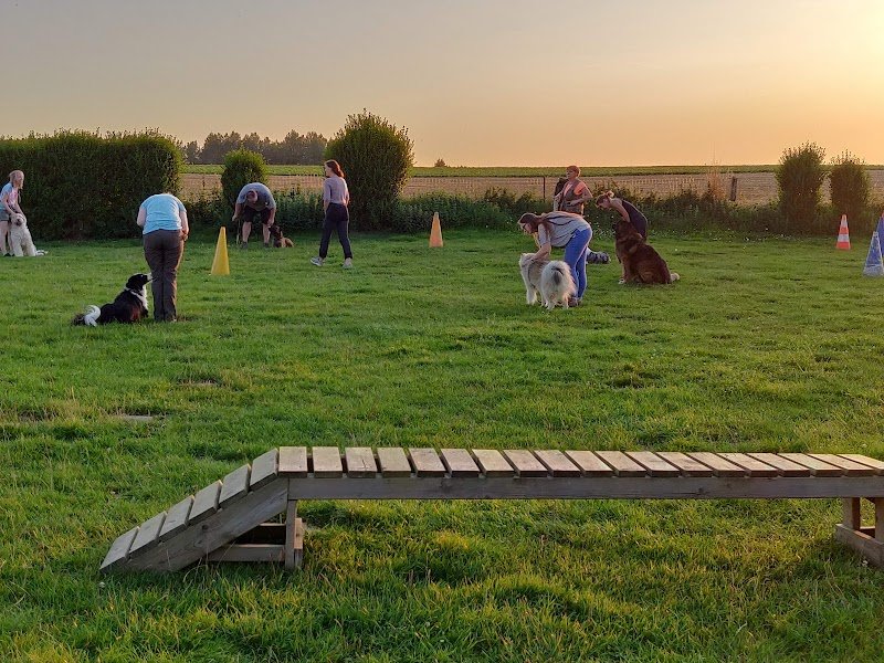 Education Canine Ramillies - photo 2