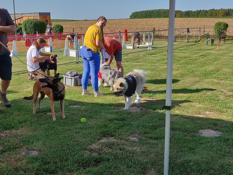 Education Canine Ramillies - photo 3