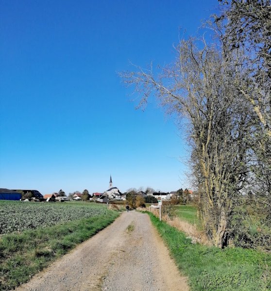 Club canin "Ami fidele de Senzeilles" - photo 3