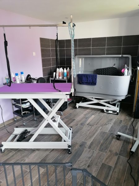 toutoubo- salon de toilettage et massage canin BANTIGNY - photo 3