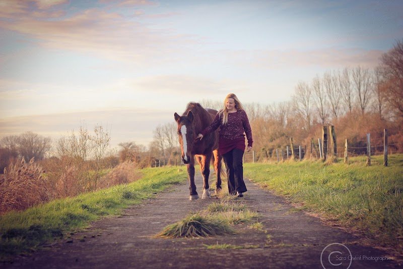 É-ki-libre - école de shiatsu équin / canin - photo 1