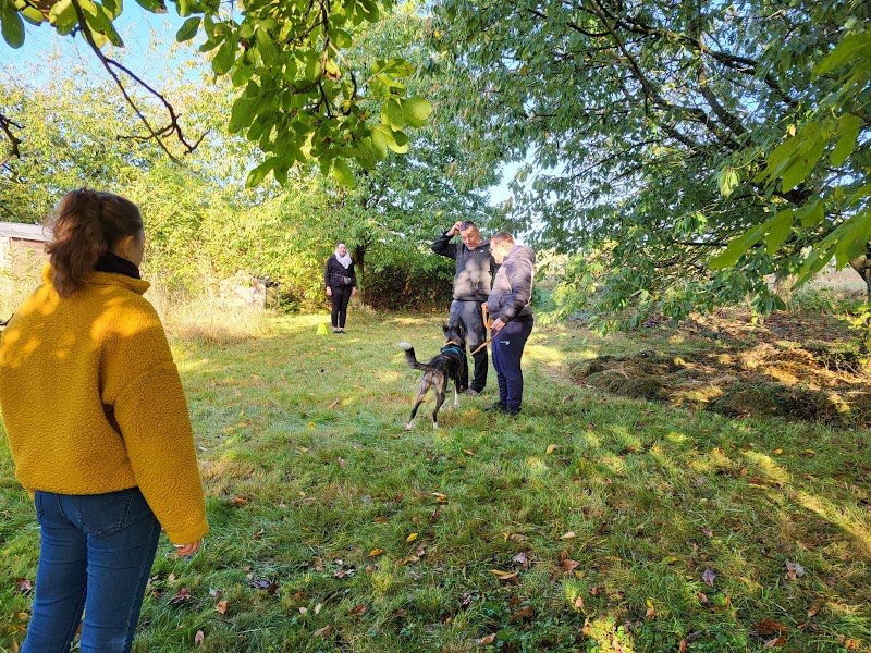 DOG EN SOI - Educateur et comportementaliste canin - photo 2
